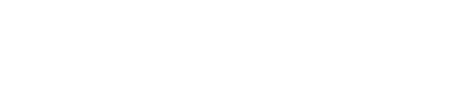 dezignexperts Consulting